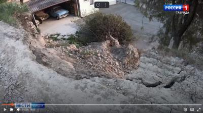 Прикрепленное изображение: Алексеева.jpg